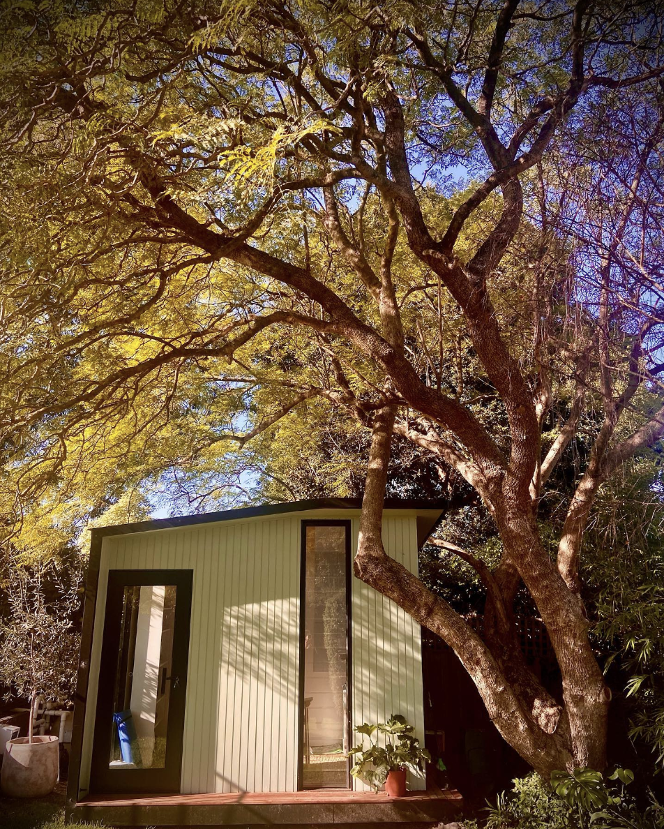 office pod in garden under large jacaranda tree